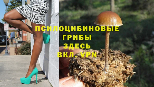 тгк Алексеевка